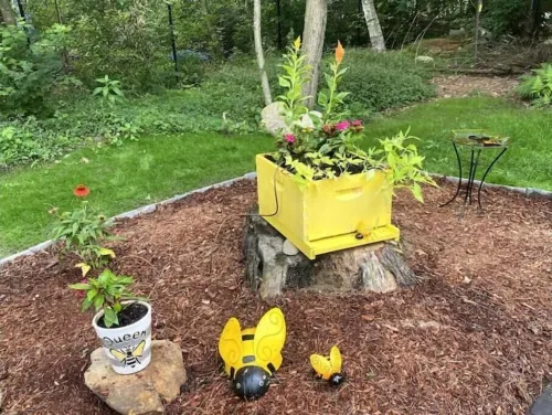 Bee-Themed Stay Near Boston – A Sweet and Unique Getaway Hotels in Billerica
