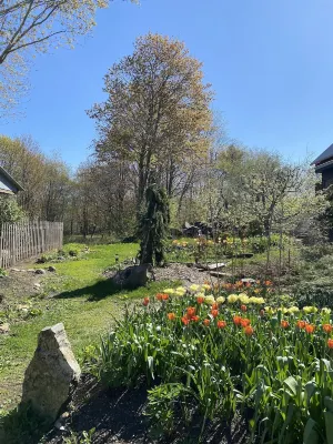 Private Contemporary Artist's Tree House on two acres with perennial gardens. Hotels in Cape Elizabeth