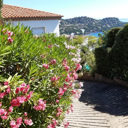 Villa with superb sea view , 6 people, close to CANNES and SAINT TROPEZ