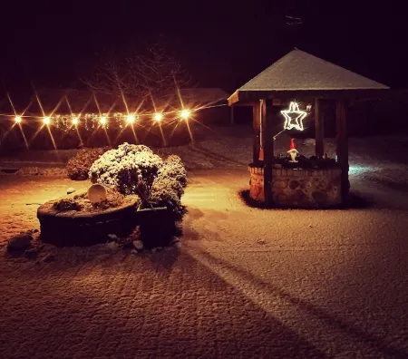 Living under "Reet" family friendly, dogs allowed, garden + large open space