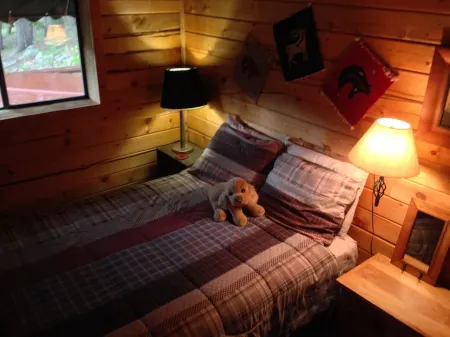 Deer Creek Cabin - a Log Cabin in the Rockies of Colorado!