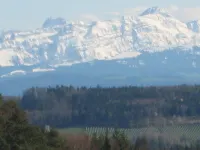 Unique spacious apartment in the green Hotels in Salem