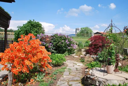 Vacation in the Bavarian Forest paradise