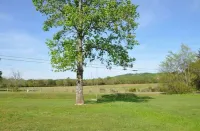 Central Retreat C, NEW Family and Pet Friendly 윌슨 카운티 호텔