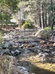 Clean cozy cabin within 1/2 mile of 2 lakes and 100’s of sq miles of wilderness.
