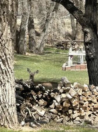 Listen to the Wind River