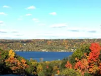 Rustic, Cozy Cottage with Backyard Waterfall and Cayuga Lake Views!