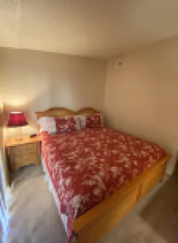 200 ft. to Gondola!! Parking, Balcony, Views, Fireplace!!  Heart of Lionshead!!