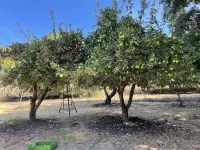 Mountain View/camping/Lake/Farm/Easy Access