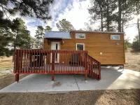 Cozy brand new tiny home! Amazing experience - Homestays