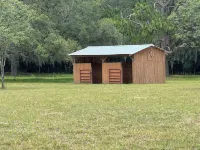 Lemonade Acres, Where Horses Stay for Free!