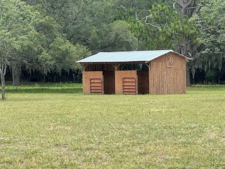 Lemonade Acres, Where Horses Stay for Free!