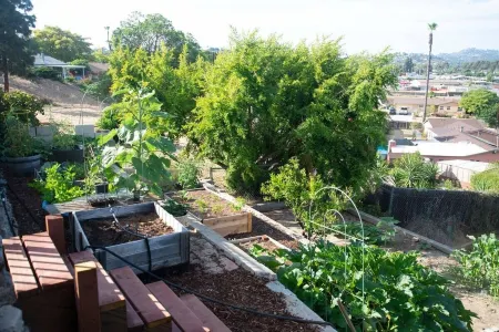 San Diego Mid century modern home