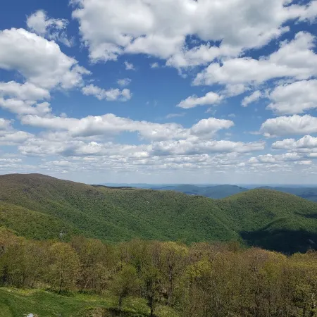 View from the Top