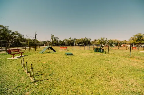 Fall in Love w/Downtown Pensacola! Spacious Modern Cottage for You and Your Pup!