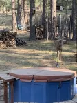 Enjoy the hot tub under the stars and ponderosa pines!