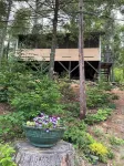 Dove Cabin up in the Trees