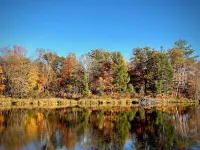Cozy Peninsula Lake Cabin on 40 Acres