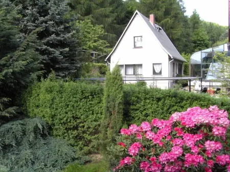 Cozy vacation home with an outdoor pool in a peaceful location by the forest