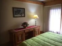 Luxury two-room apartment, Facing the ski slopes, Village center, Garage, WIFI