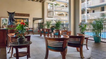 Right On the Water, Stunning Ocean views and Sunsets, AC, Elevator, Pool