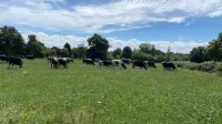 Gîte à la Ferme de la Corbinais