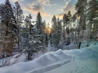 Mountain Retreat, Spacious Cabin on 2.5 acres, firepit and trails