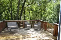 Oasis in Daphne