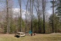 "Stars Hollow" Cozy Mini Cabin Stay - RRG