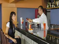 Hotel Son- Mar Monterrey Centro - bar