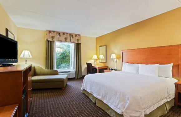 利斯堡 - 塔瓦雷斯希爾頓歡朋酒店