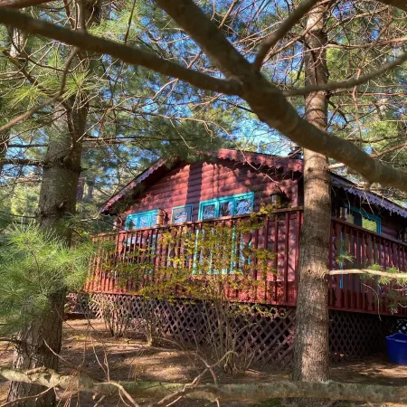 Rustic and Charming one Bedroom cabin. Upgraded pontoon!