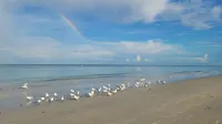 Beachfront Cottages (Gulf) at Beautiful Sandy Shores on Gulf of Mexico
