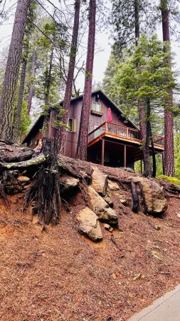 Cozy Cabin in the woods.