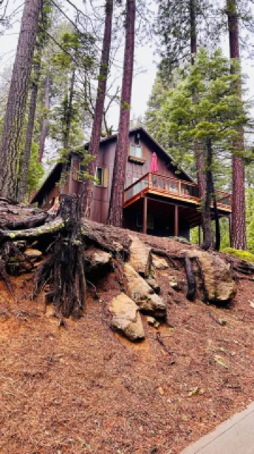 Cozy Cabin in the woods.