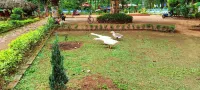 Similipal Prakruti Nivas Hotels in Mayurbhanj