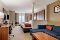 Comfort Suites Speedway - Kansas City - Pool