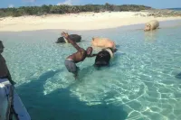 Exuma Beach Point - Villas