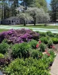 Elmwood Motor Court