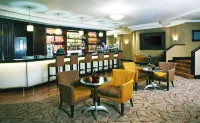 Southern Sun or Tambo International Airport - bar