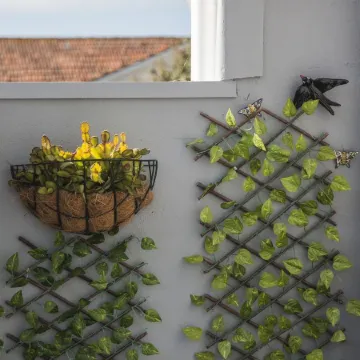 Apartamento À Francos Balcony
