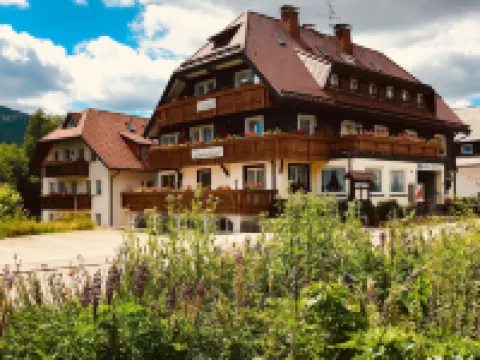 Hotel Zartenbach Hotels in Hinterzarten