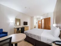 Quality Inn Laredo - Nuevo Laredo Hotels in Laredo