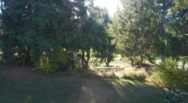 The Inn at the Ninth Hole Bed & Breakfast