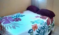 Apartahotel Next Nivel - One Bedroom Apartment Hotels near Excursiones Transfer Manuel Santana