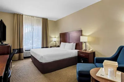 Quality Suites Irving-Las Colinas Hotels in Irving
