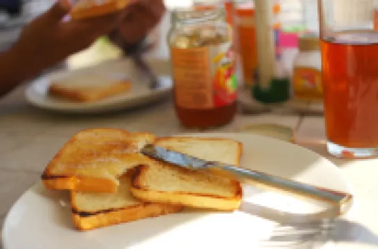 Everest Home Stay Apartment