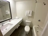 University Inn of Carbondale Hotels in Pomona Township