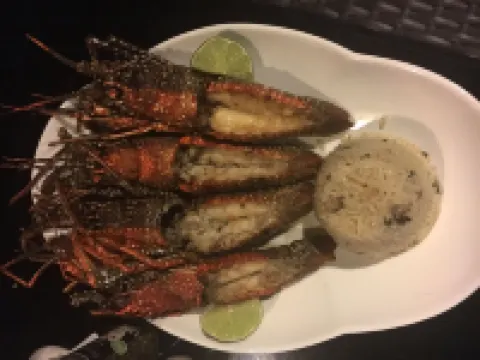 Coral Blanco Hotel