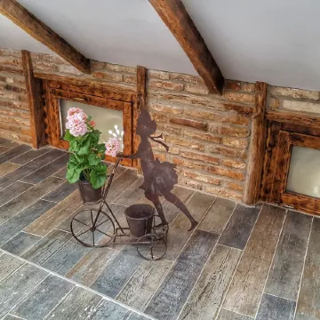 Windmill Studios by Rembrandt Old Town